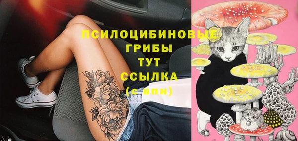 мяу мяу мука Алзамай