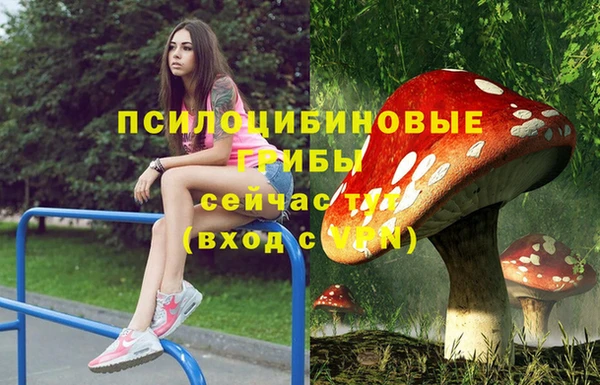 винт Алексеевка