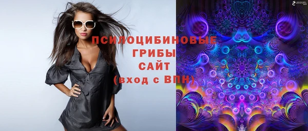сатива Алексин