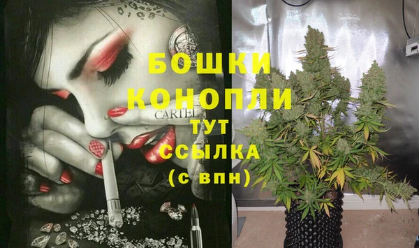 сатива Алексин